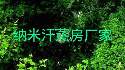 纳米汗蒸房厂家