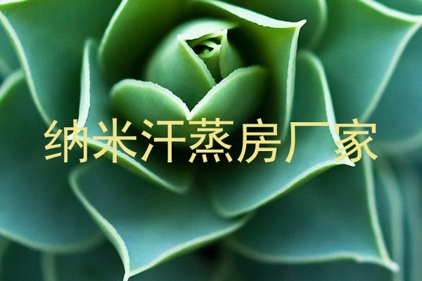 纳米汗蒸房厂家