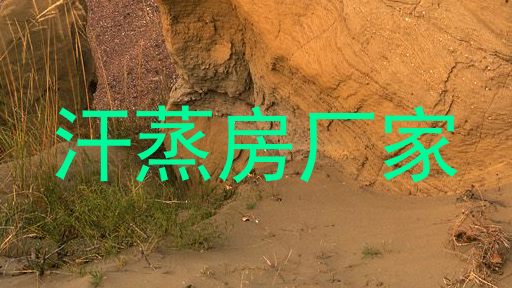 汗蒸房厂家