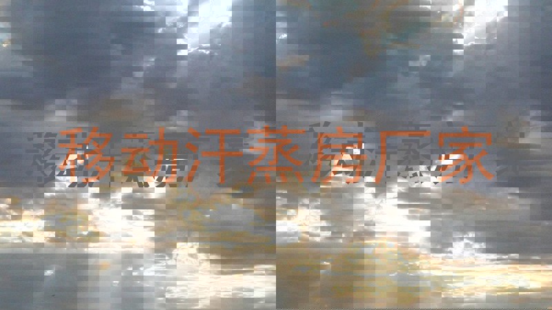 移动汗蒸房厂家