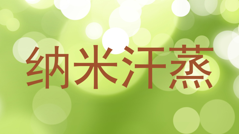 纳米汗蒸