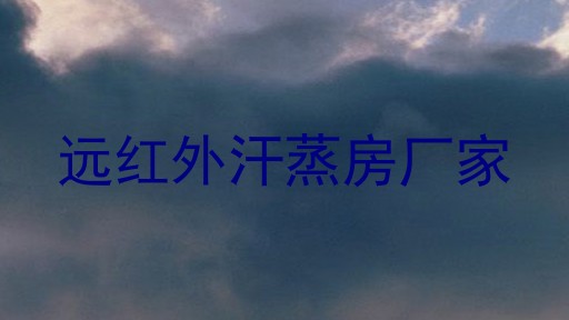 远红外汗蒸房厂家