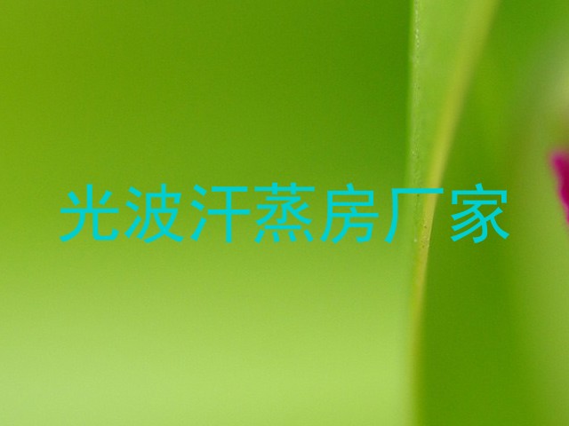 光波汗蒸房厂家