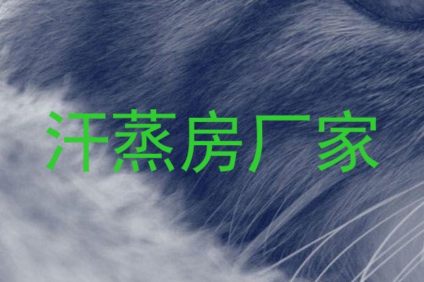 汗蒸房厂家