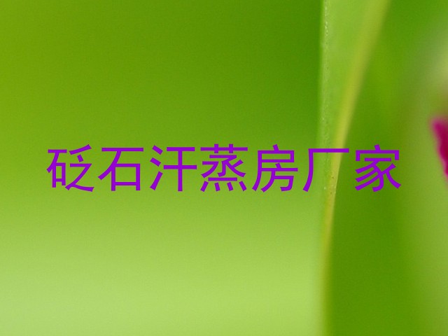 砭石汗蒸房厂家
