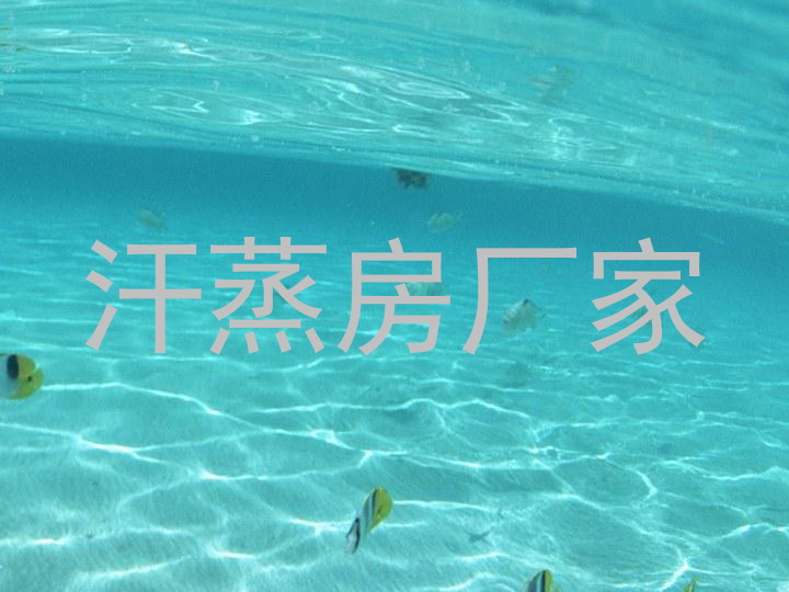 汗蒸房厂家