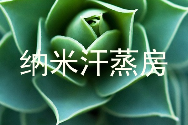 纳米汗蒸房