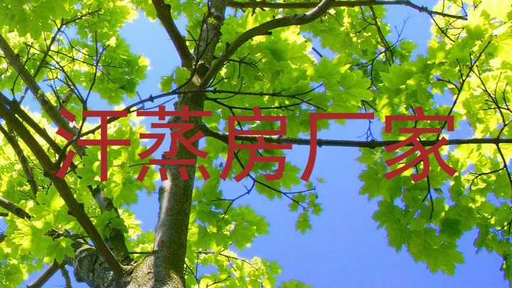 汗蒸房厂家