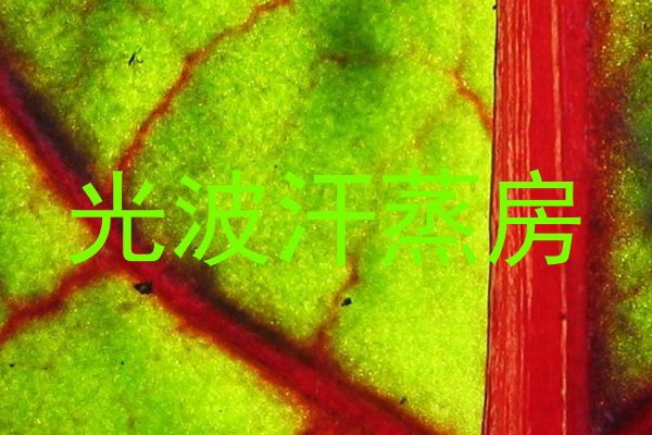 光波汗蒸房