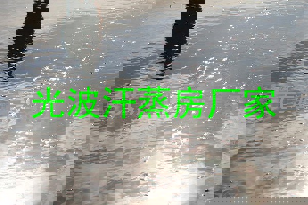 光波汗蒸房厂家