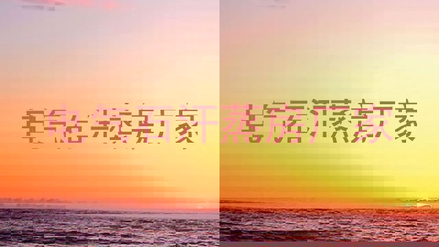 电气石汗蒸房厂家