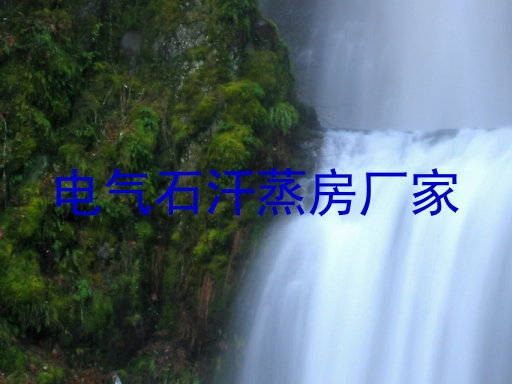 电气石汗蒸房厂家