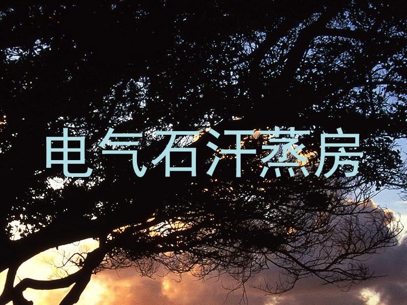 电气石汗蒸房