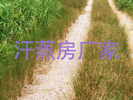 汗蒸房厂家