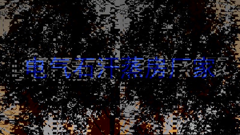 电气石汗蒸房厂家