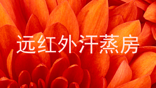 远红外汗蒸房