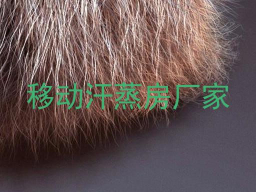 移动汗蒸房厂家