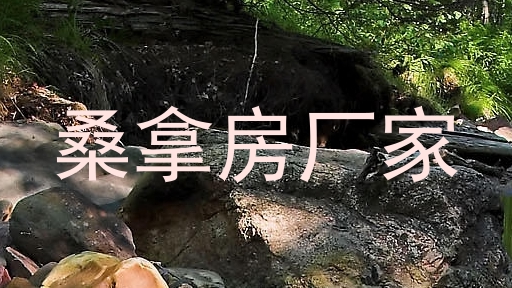 桑拿房厂家