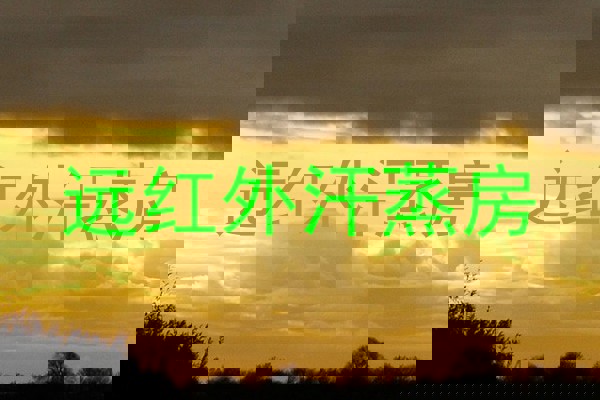 远红外汗蒸房