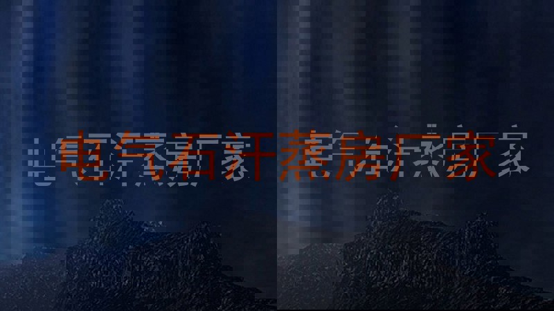 电气石汗蒸房厂家