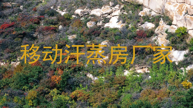 移动汗蒸房厂家