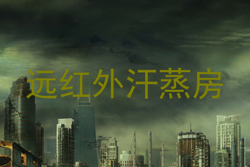 远红外汗蒸房