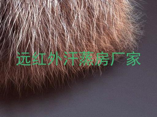 远红外汗蒸房厂家