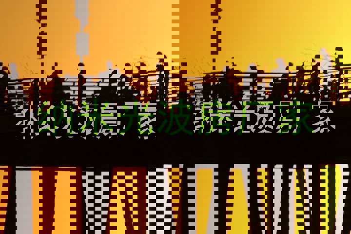 纳米光波房厂家