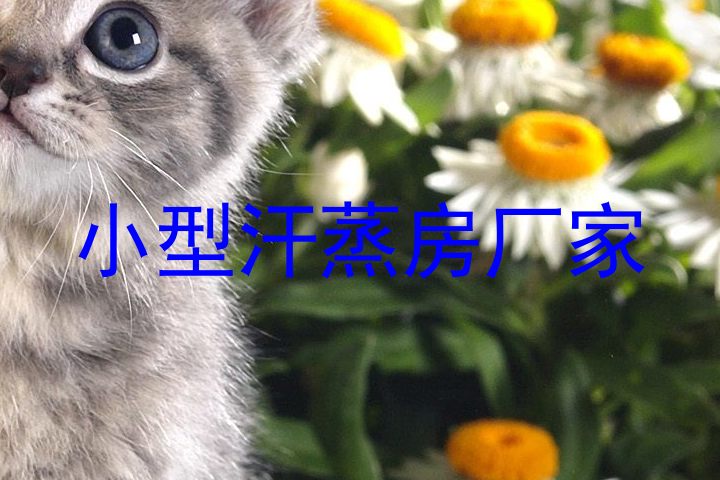 小型汗蒸房厂家