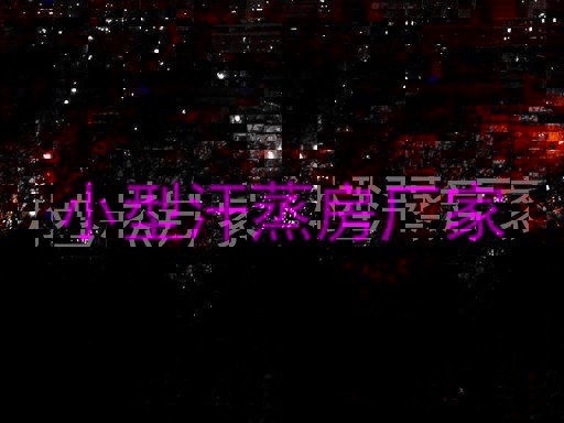 小型汗蒸房厂家