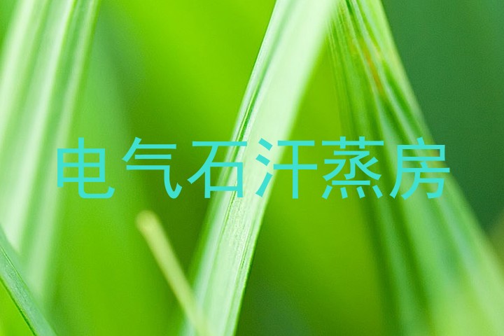 电气石汗蒸房