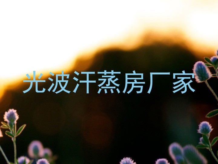 光波汗蒸房厂家