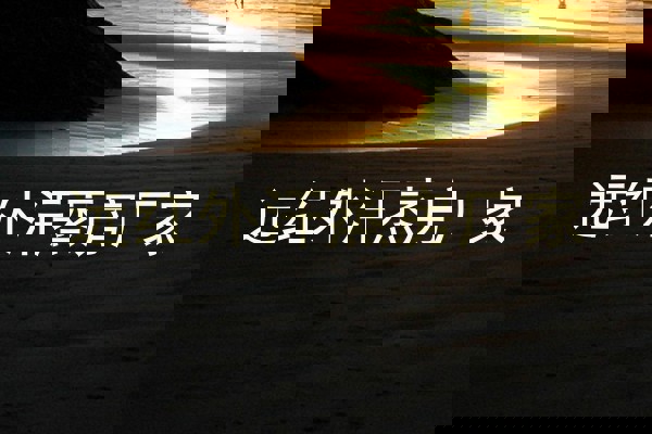 远红外汗蒸房厂家