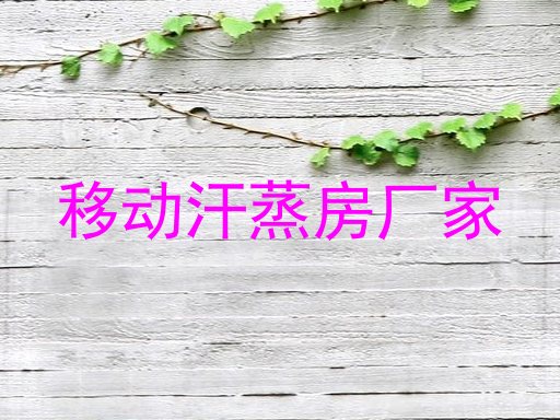 移动汗蒸房厂家
