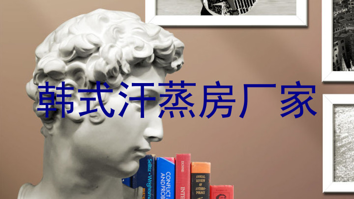韩式汗蒸房厂家