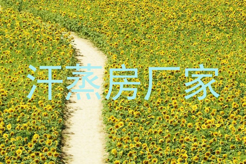 汗蒸房厂家