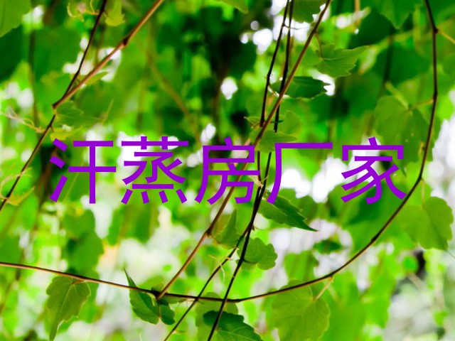 汗蒸房厂家
