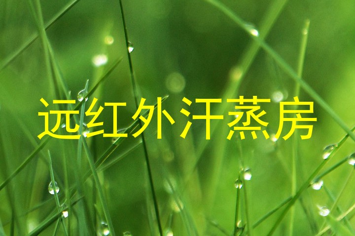 远红外汗蒸房