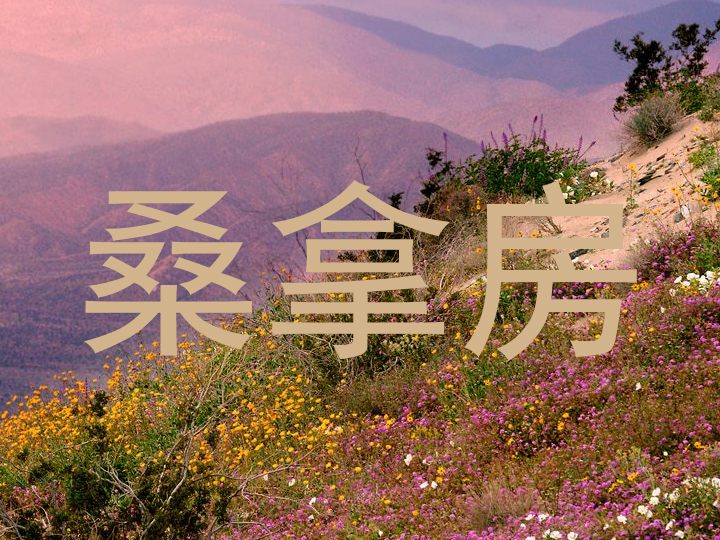 桑拿房