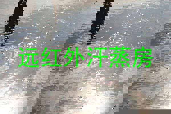 远红外汗蒸房