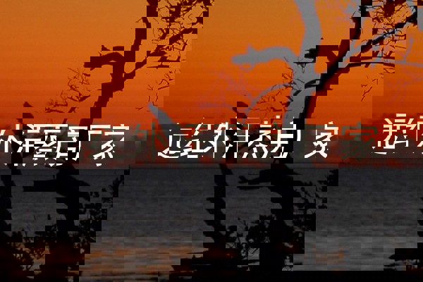 远红外汗蒸房厂家