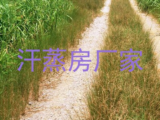 汗蒸房厂家