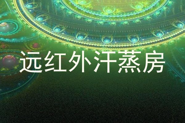 远红外汗蒸房
