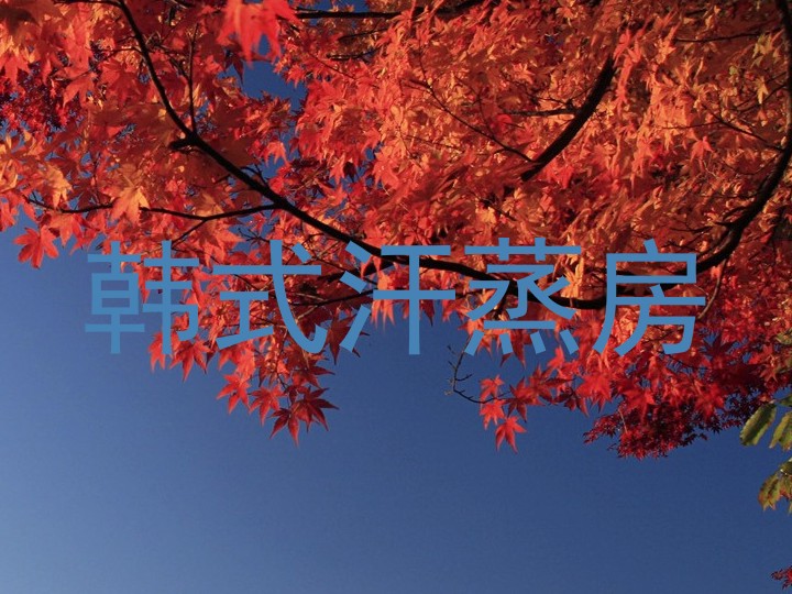 韩式汗蒸房