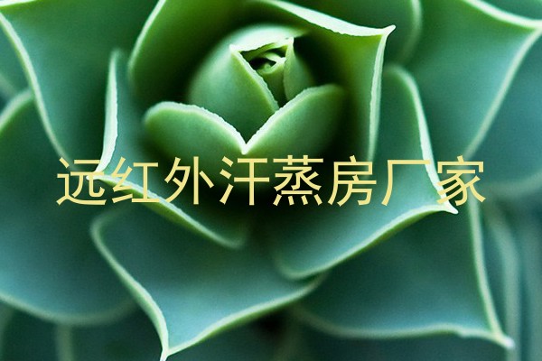 远红外汗蒸房厂家