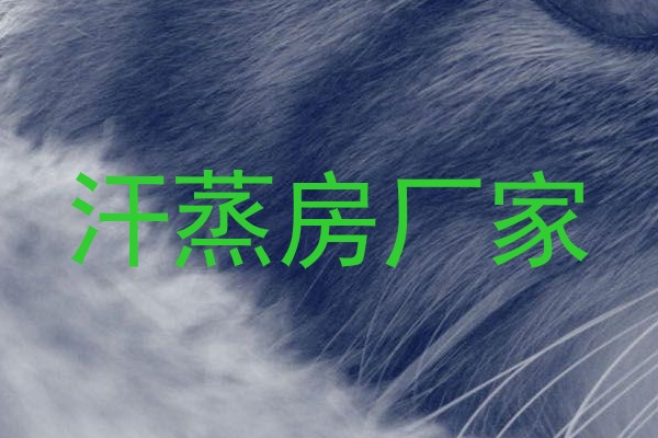 汗蒸房厂家