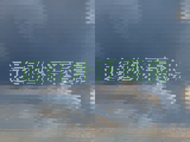 远红外汗蒸房