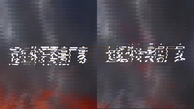 远红外汗蒸房厂家