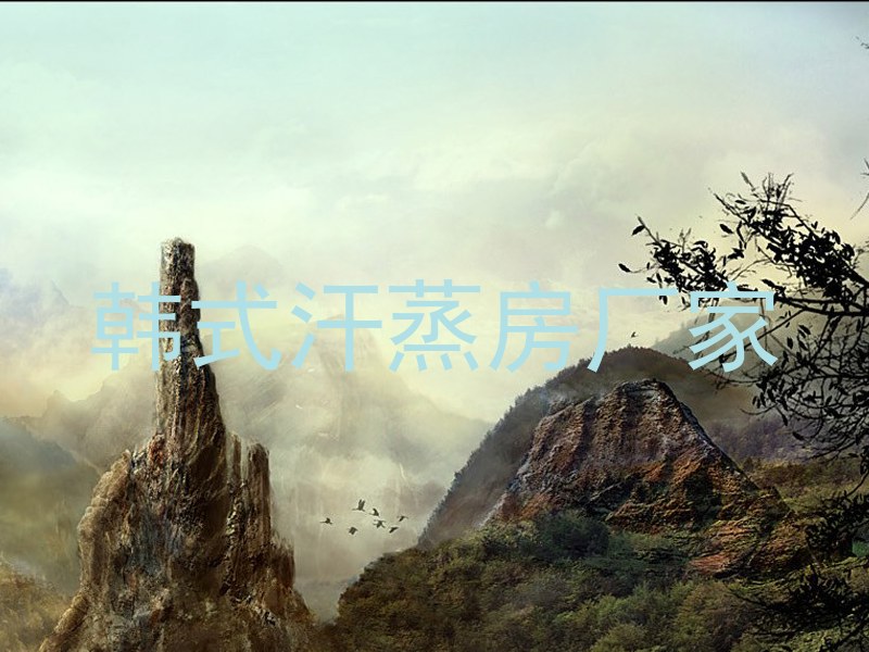 韩式汗蒸房厂家