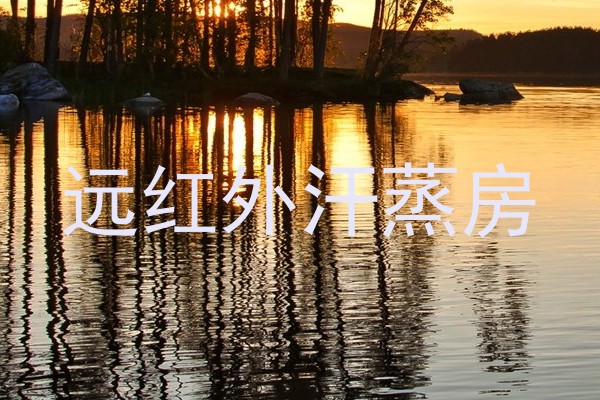 远红外汗蒸房